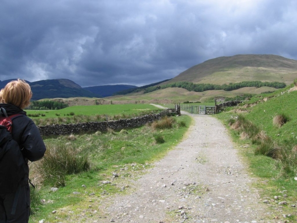 On the quest for a tea stop